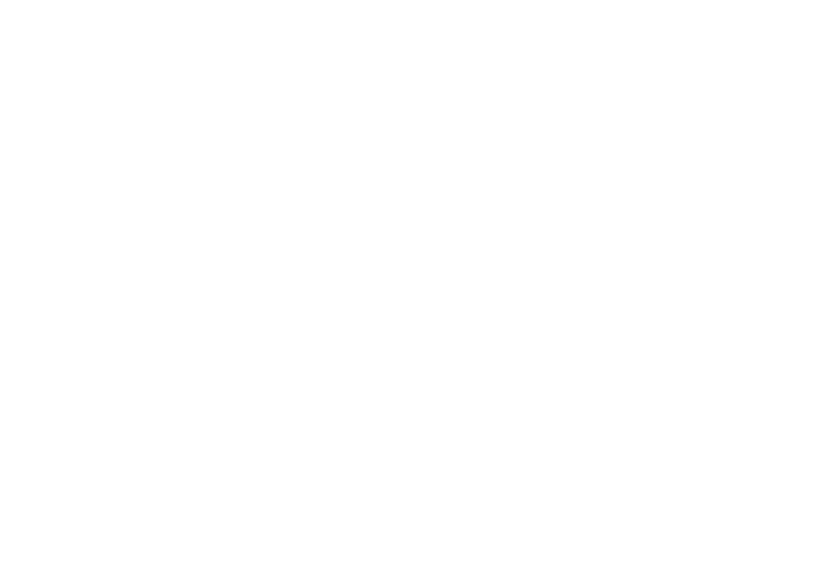 SCAD对乔治亚州的经济影响