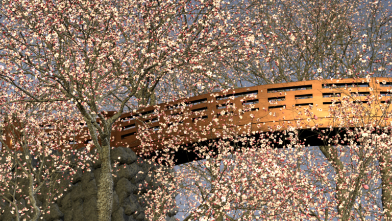 视觉效果学生作品，陈美杰的《樱花》