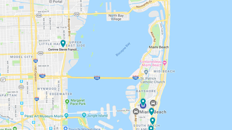 竹荚鱼在迈阿密地图