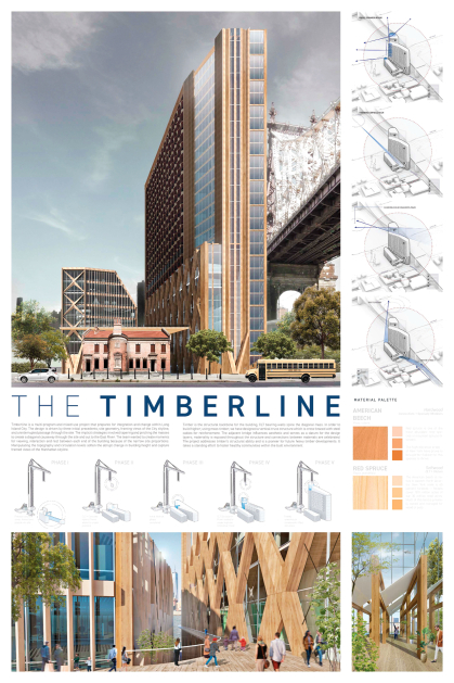 建筑专业学生的作品“The Timberline”
